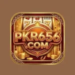PKR656 Game icon
